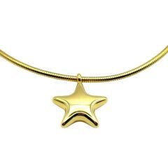 Parlayan Yıldız Choker Kolye