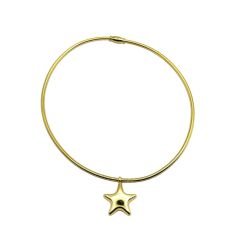 Parlayan Yıldız Choker Kolye