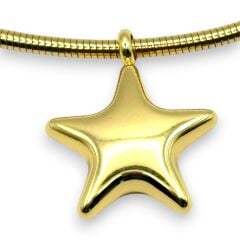 Parlayan Yıldız Choker Kolye