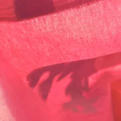 Yılbaşı Konseptli Geyik Punch Nakışı Kanvas Çanta